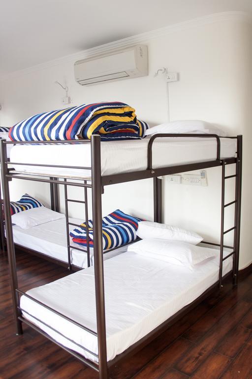 ニューデリー Madpackers Delhiホステル 部屋 写真